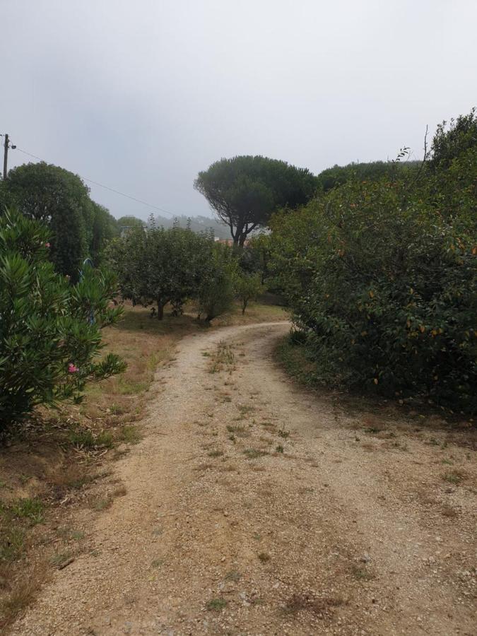 Sondela Self Catering Villa Sao Martinho do Porto Luaran gambar