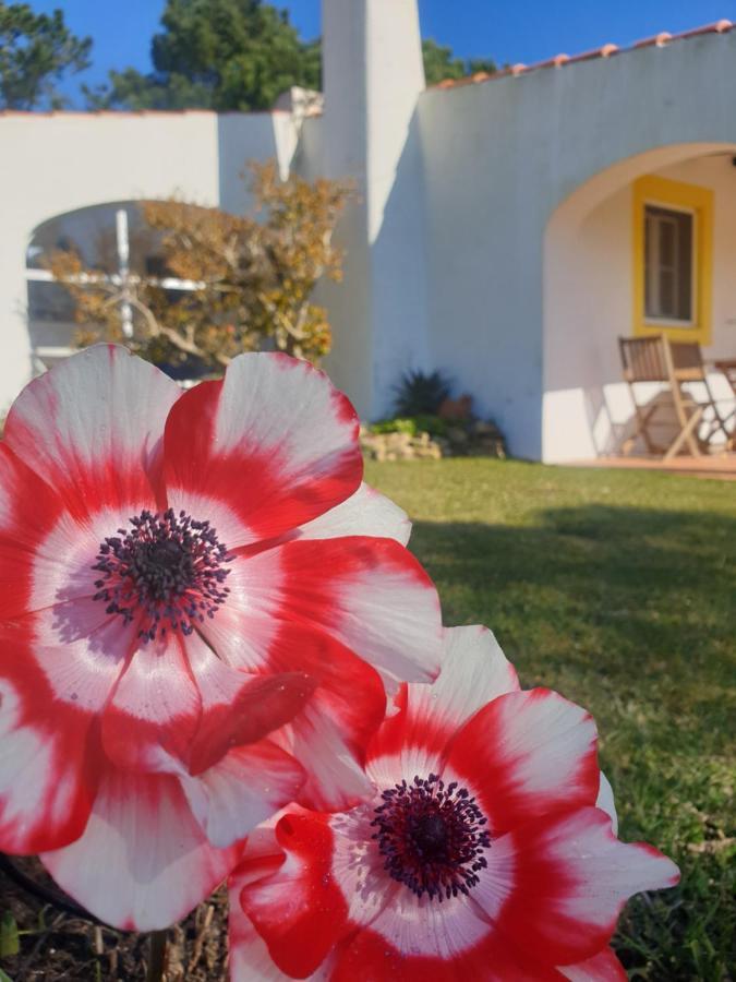 Sondela Self Catering Villa Sao Martinho do Porto Luaran gambar