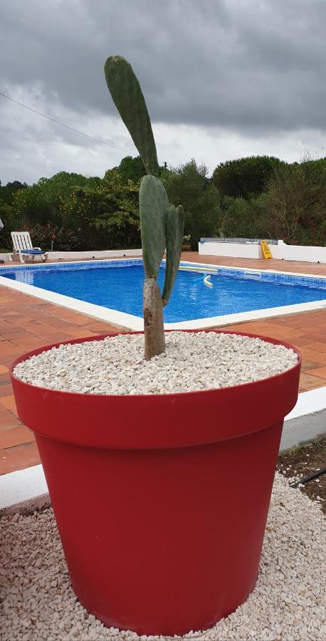 Sondela Self Catering Villa Sao Martinho do Porto Luaran gambar